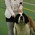 https://nl.holidog.com/ImagesPetSitters/0C02F580-C203-433B-AE9C-97B4FD86508E_square_120.jpg -Petsitter-met-ervaring-en-kennis.--600-3