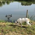 https://nl.holidog.com/ImagesPetSitters/0F22B887-971F-40BA-B0B1-F05A80577EC5_square_120.jpg Honden-liefhebber.-15816-1