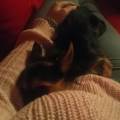 https://nl.holidog.com/ImagesPetSitters/371028AB-4595-4FE4-80FC-D7A50D79171D_square_120.jpg Een-liefdevolle-petsitter-5970-1