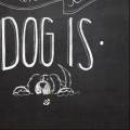 https://nl.holidog.com/ImagesPetSitters/3B58498A-C45E-46CC-8F1F-F2BE9E182674_square_120.jpg Liefde-voor-uw-hond-908-3