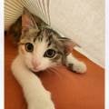 https://nl.holidog.com/ImagesPetSitters/4A539E72-1FA1-4452-B39F-D51D0ABC5D1B_square_120.jpg Honden-en-katten-vriend-:)-27548-2