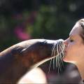 https://nl.holidog.com/ImagesPetSitters/56D9A4FC-8EB6-414F-981C-0010F30915AD_square_120.jpg Afgestudeerd-paraveterinair-6001-1