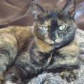 https://nl.holidog.com/ImagesPetSitters/5B2EA85A-5D73-4531-8A8F-FEDAFA8E527B_square_120.jpg Katten,-honden-en-andere-huisdieren-31085-3
