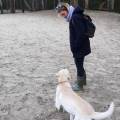 https://nl.holidog.com/ImagesPetSitters/5E23DE5A-1C65-411C-861B-789C7982906D_square_120.jpg Ieder-dier-met-plezier-40866-0