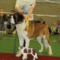 https://nl.holidog.com/ImagesPetSitters/D04045FB-F1CB-40CF-AA17-18CFFCB2AADA_square_120.jpg -Petsitter-met-ervaring-en-kennis.--600-2