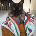 https://nl.holidog.com/ImagesPetSitters/DB448881-A0D4-4F68-BAEA-E26A241C918C_square_120.jpg Love-of-animals-feels-like-magic-20461-0